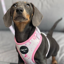 Load image into Gallery viewer, Pink Splash Adjustable Harness