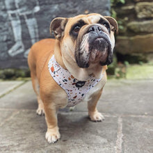 Load image into Gallery viewer, Burnt Terrazzo Adjustable Harness