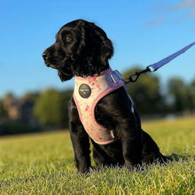 Load image into Gallery viewer, Pink Splash Adjustable Harness