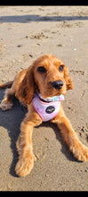 Load image into Gallery viewer, Pink Splash Adjustable Harness