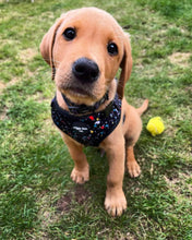 Load image into Gallery viewer, Rainbow Galaxy Adjustable Harness