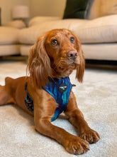 Load image into Gallery viewer, Riptide Blue Adjustable Harness