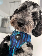 Load image into Gallery viewer, Riptide Blue Adjustable Harness