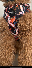 Load image into Gallery viewer, Swirling Lava Adjustable Harness