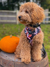 Load image into Gallery viewer, Swirling Lava Adjustable Harness