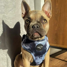 Load image into Gallery viewer, Puppy Bundle
