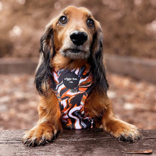 Load image into Gallery viewer, Puppy Bundle