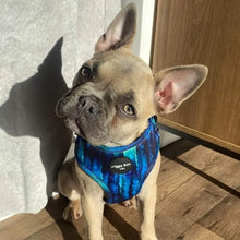 Load image into Gallery viewer, Puppy Bundle