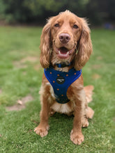 Load image into Gallery viewer, Spotted Midnight Adjustable Harness