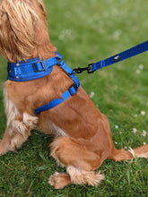 Load image into Gallery viewer, Spotted Midnight Adjustable Harness