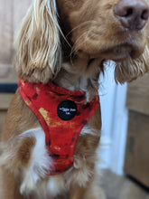 Load image into Gallery viewer, Sunset Vibes Adjustable Harness
