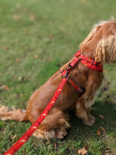 Load image into Gallery viewer, Sunset Vibes Adjustable Harness