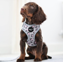 Load image into Gallery viewer, Leopard Lovin' Adjustable Harness