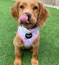 Load image into Gallery viewer, Puppy Bundle