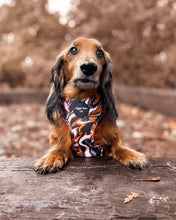 Load image into Gallery viewer, Swirling Lava Adjustable Harness