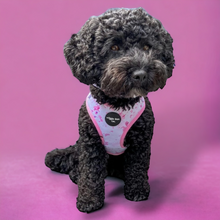 Load image into Gallery viewer, Pink Splash Adjustable Harness
